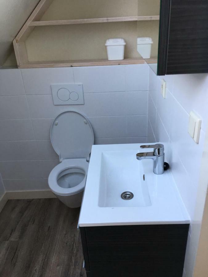 Studio De Pelgrim Vrouwenpolder Kültér fotó